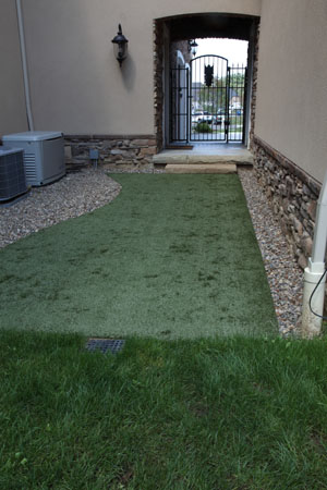 K9 Pet Grass Area